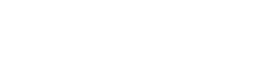 Pulso Company